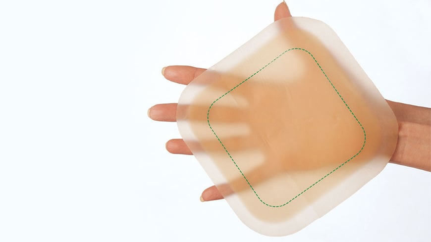 a hand holding a leaf