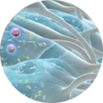 Un planeta con anillos a su alrededor