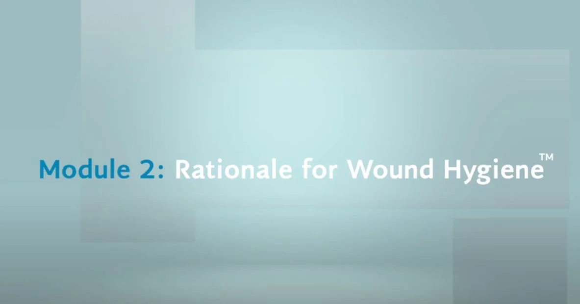 graphical user interface, application