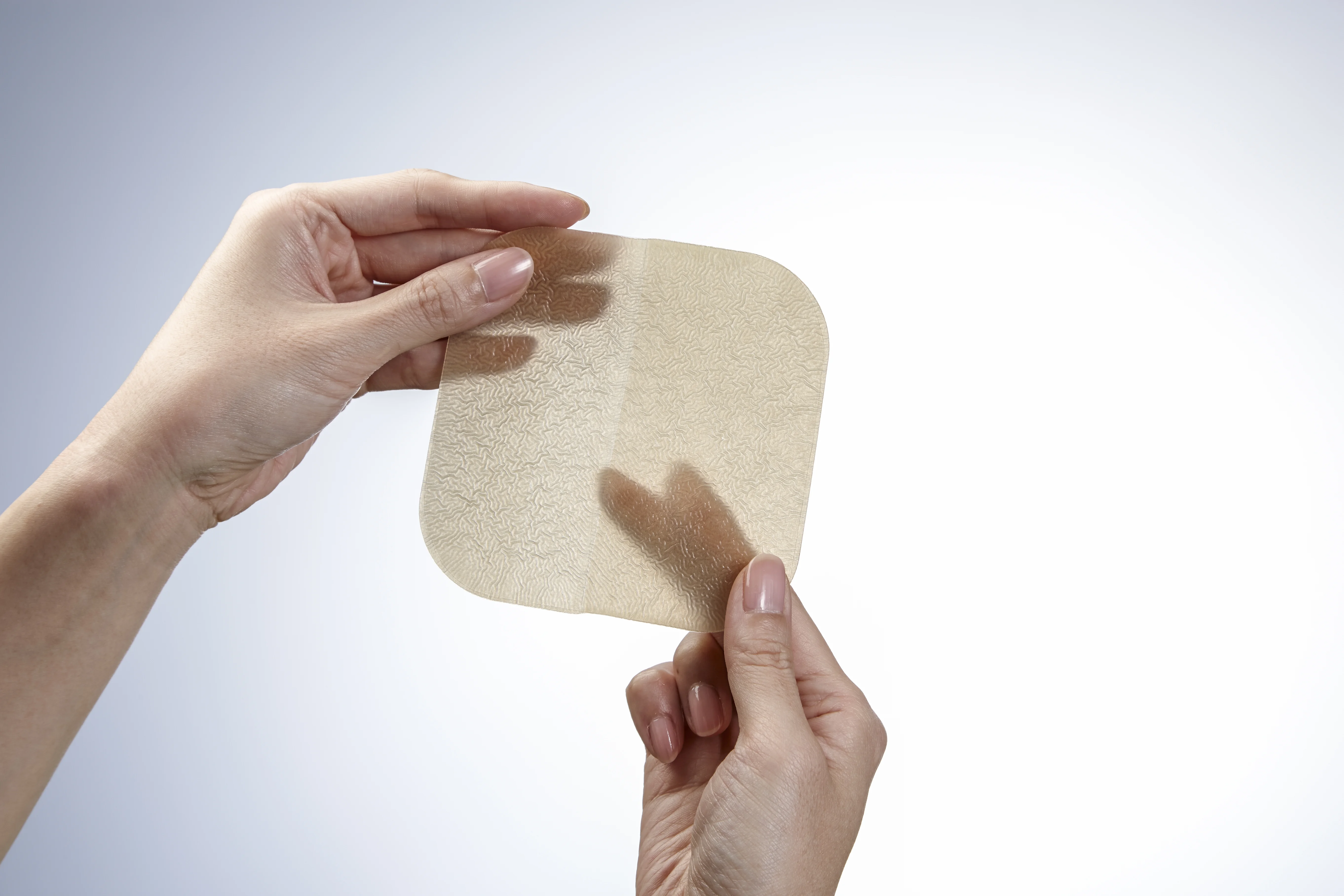 manos sosteniendo un trozo de madera