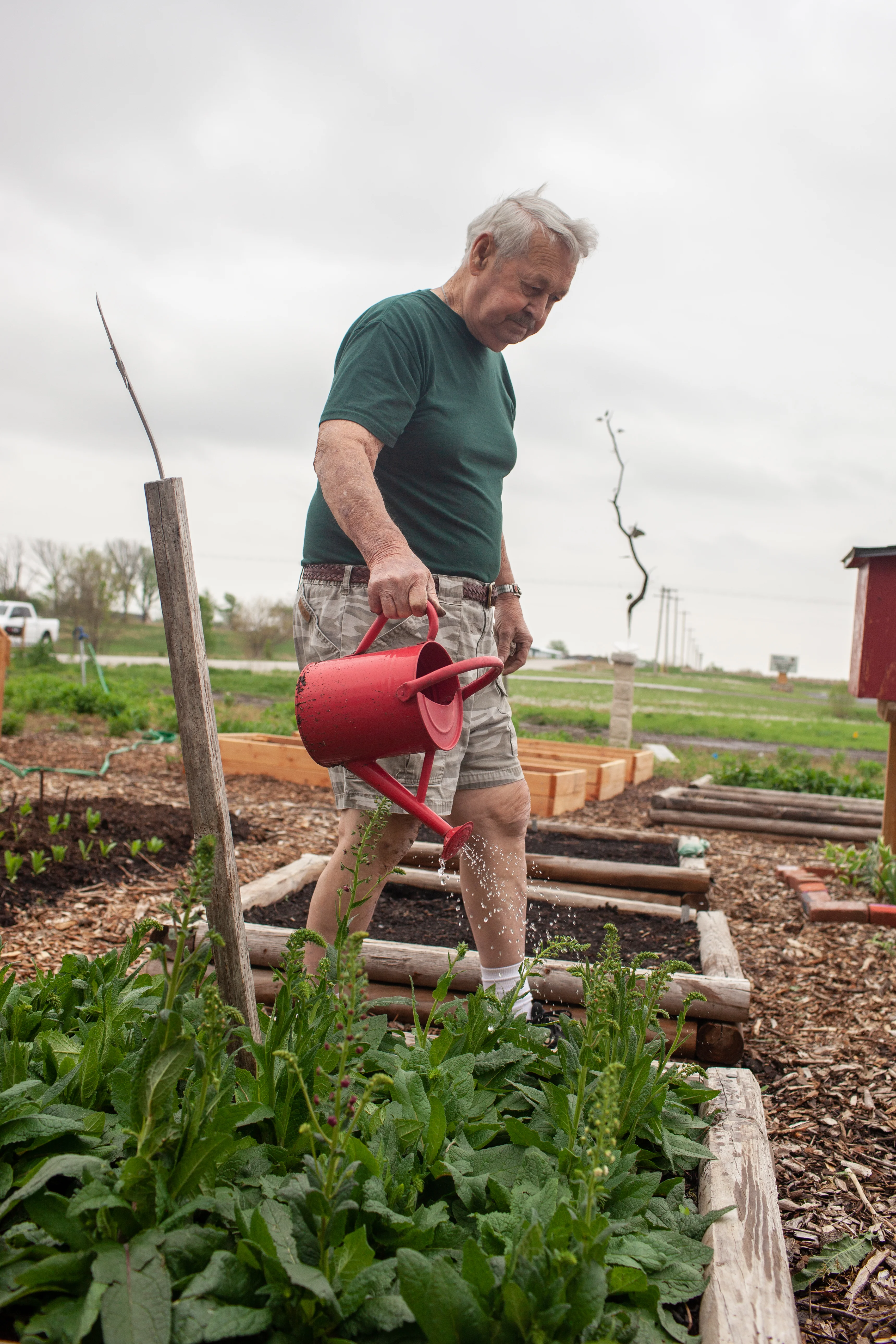 a man watering plants