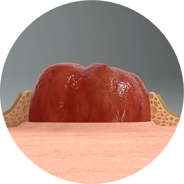 un gros plan d’un objet rouge et blanc